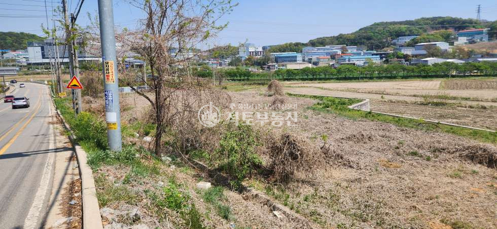 경기 화성만세구 남양읍 활초리 #대로변3 화성 남양 활초리 #2종근생# 일반음식점 허가득 매매 매물번호 10337 사진 3