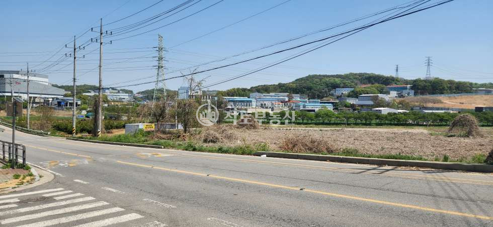 경기 화성만세구 남양읍 활초리 #대로변3 화성 남양 활초리 #2종근생# 일반음식점 허가득 매매 매물번호 10337 사진 5