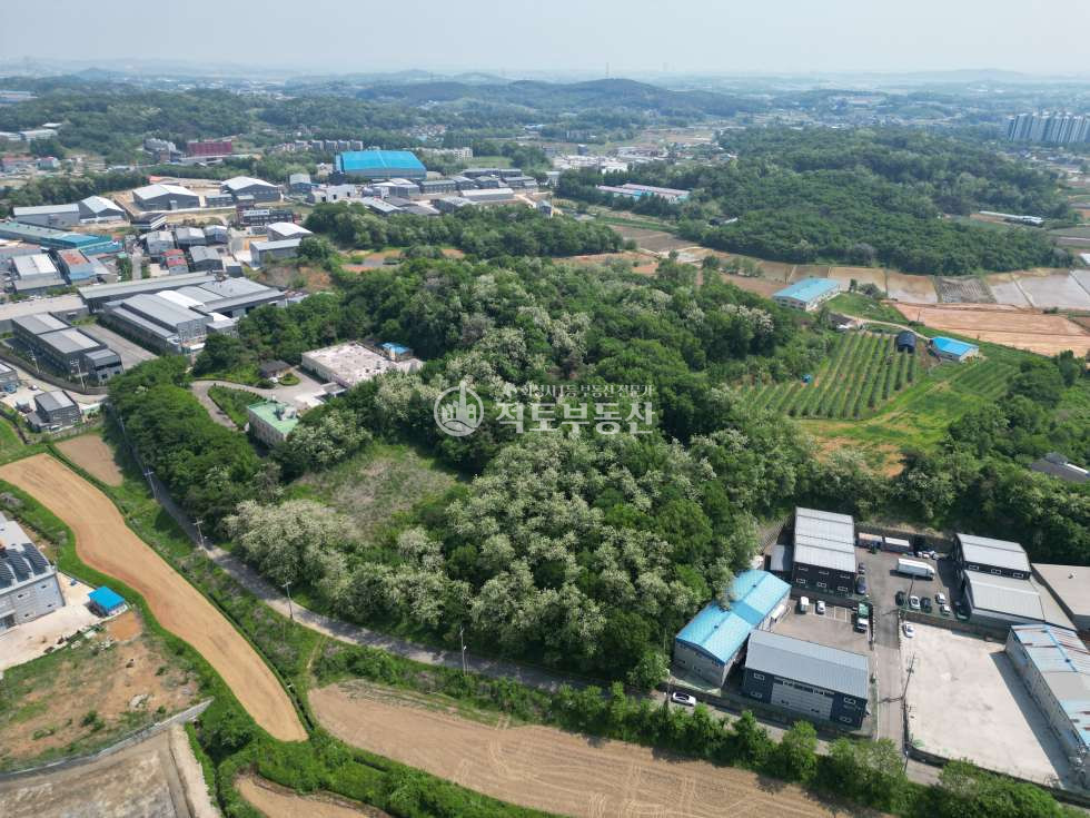 경기 화성만세구 장안면 금의리 #대지 1482평 #금의리#개발행위허가득#제조장허가득 #장안산단인근 매매 매물번호 10370 사진 6