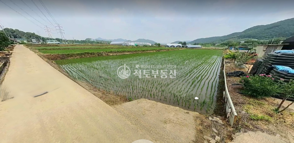 경기 화성만세구 팔탄면 지월리 #팔탄지월리#농지매매#경영체등록#농로완비 매매 매물번호 10660 사진 1