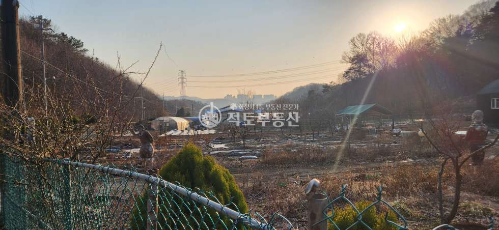 경기 화성효행구 매송면 야목리 매송면 야목리 주말농장 100평 매매 매매 매물번호 10260 사진 2