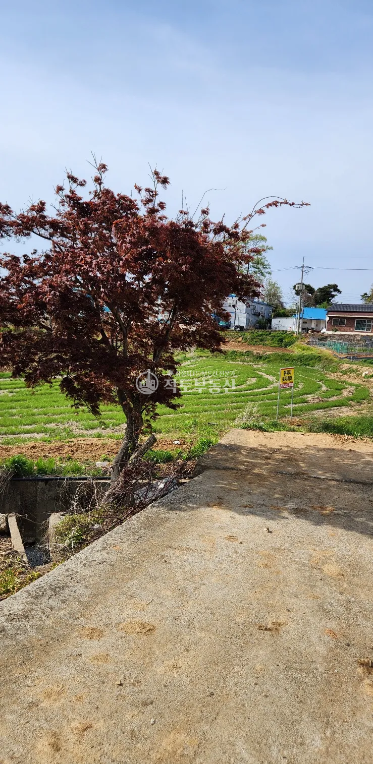 경기 화성만세구 팔탄면 율암리 팔탄 율암리 지가상승 기대효과 있는 토지 매매 매매 매물번호 10005 사진 1