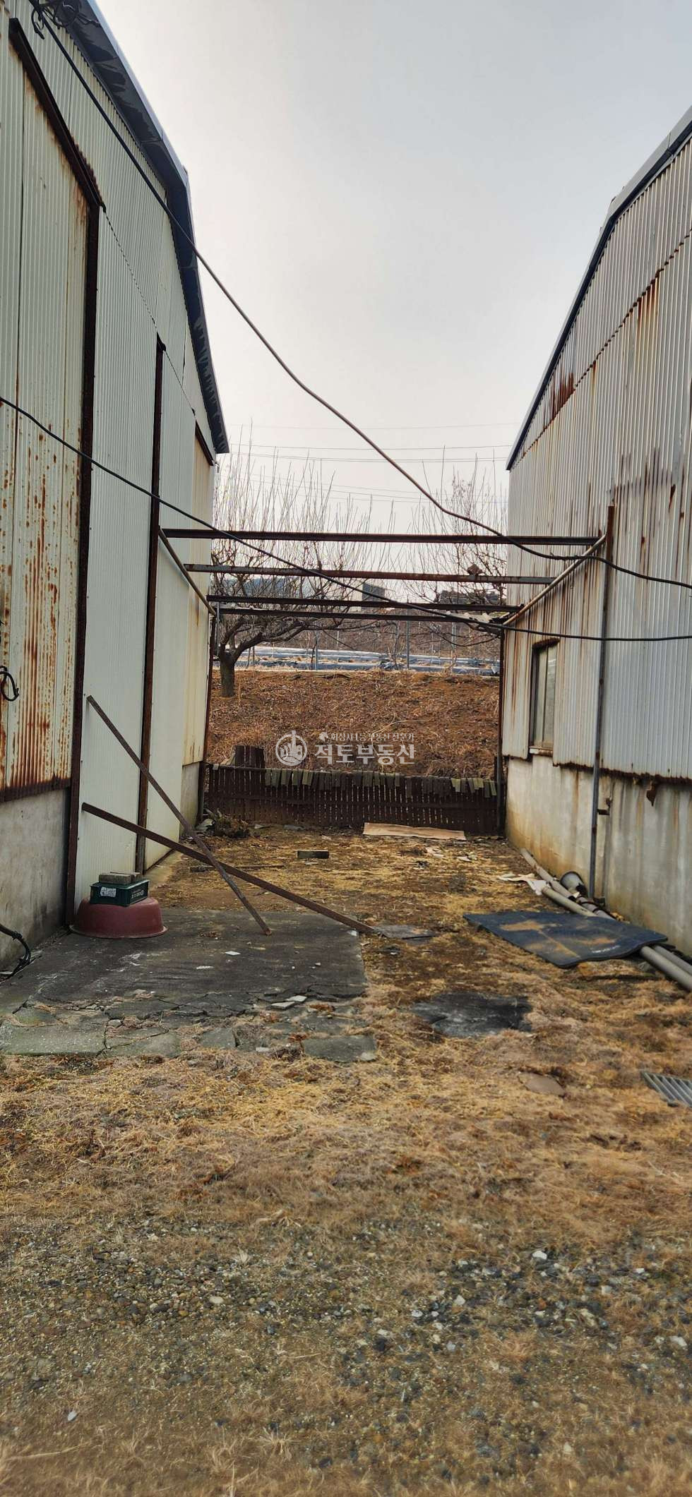 경기 화성만세구 우정읍 원안리 땅값만 받는 화성 우정읍 공장｜418평 5억7천 기숙사 포함 급매 매매 매물번호 10200 사진 5
