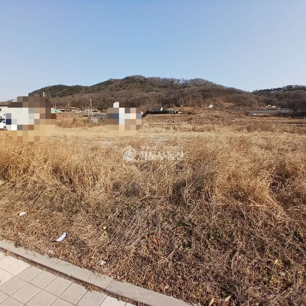 경기 화성만세구 양감면 신왕리 #682평#토지급매 #2차선도로접 #부지내국유지60평 매매 매물번호 10123 사진 2