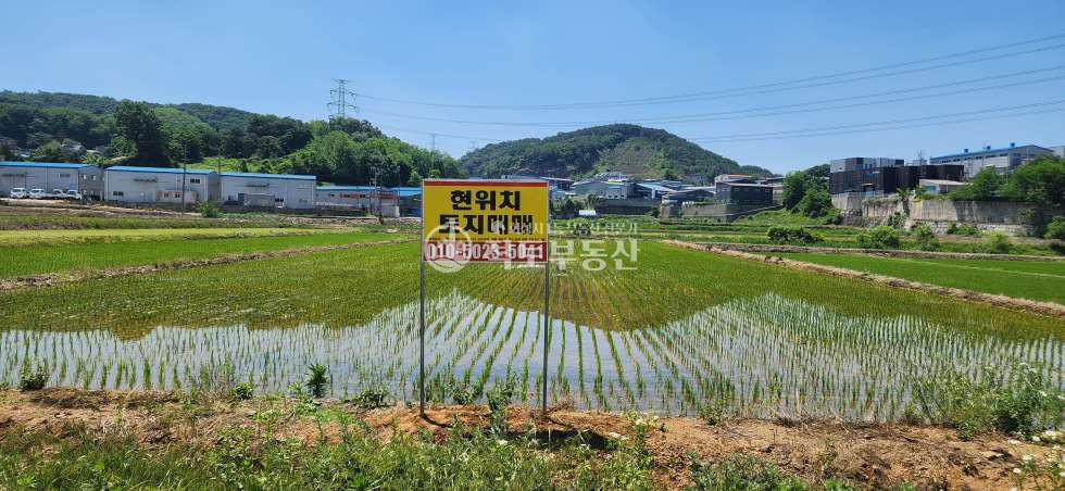 경기 화성효행구 비봉면 청요리 남비봉·팔탄IC 인접｜비봉 청요리 912평 농지｜농업·중장기 투자 추천 매매 매물번호 10143 사진 1