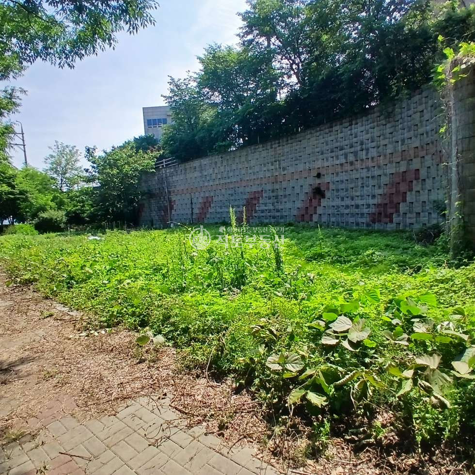 경기 화성만세구 장안면 독정리 #대지 215평 #토지매매 #2차선도로접 #독정리 중심생활권 인근 매매 매물번호 10402 사진 4